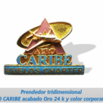 PIN TRIDIMENSIONAL FUNDIDO - AERO CARIBE