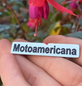 "PIN EMPRESARIAL PERSONALIZADO TRIDIMENSIONAL FUNDIDO."